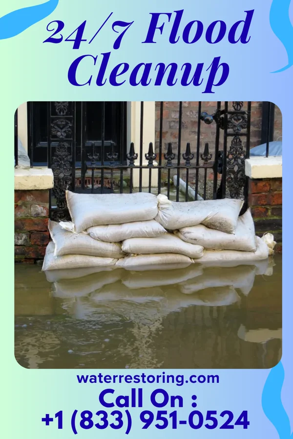 24/7 Flood Cleanup in Princeton Junction, NJ