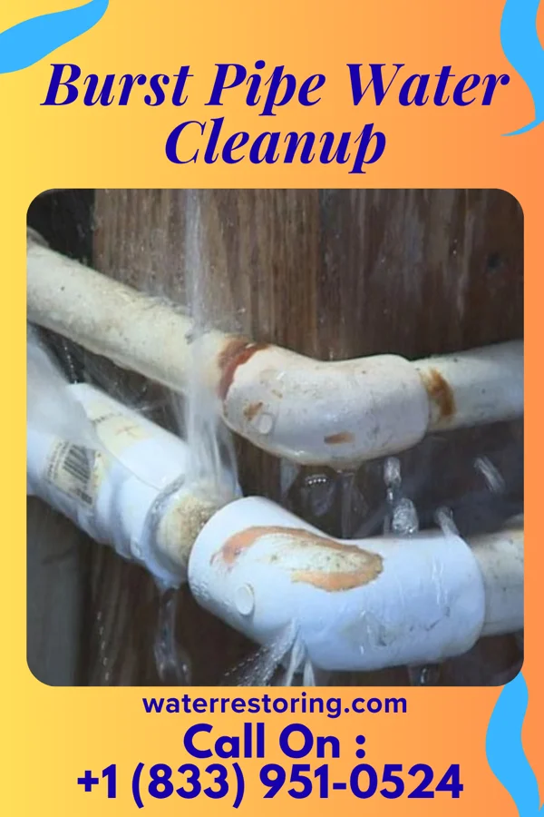 Burst Pipe Water Cleanup in Princeton Junction, NJ