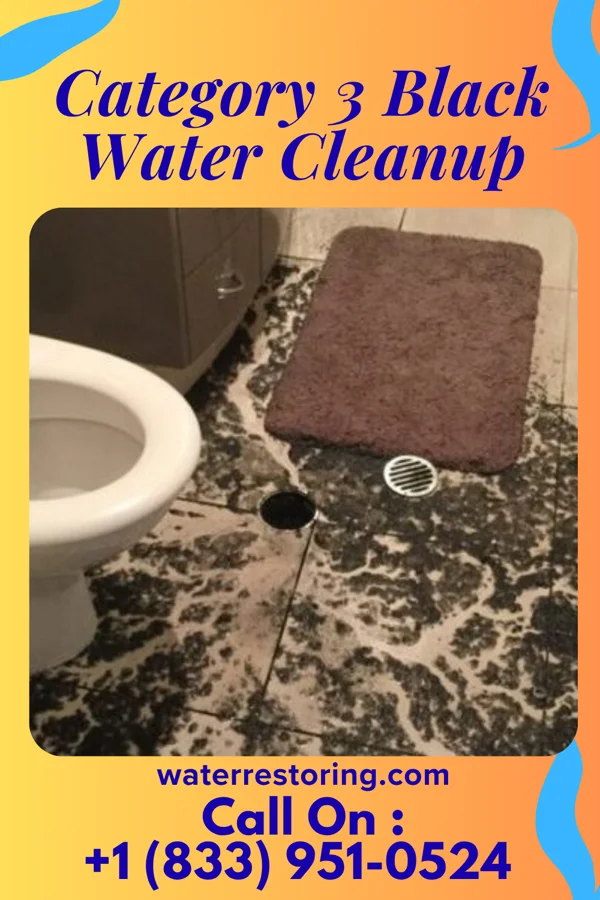 Category 3 Black Water Cleanup in Princeton Junction, NJ