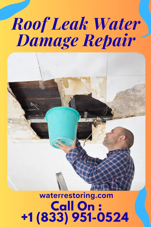 Roof Leak Water Damage Repair in Princeton Junction, NJ