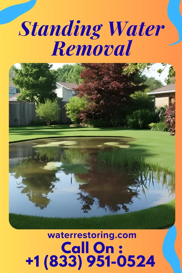 Standing Water Removal in Princeton Junction, NJ